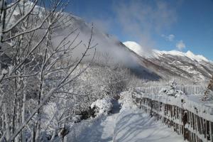 冬天的Roulottes Montagne Pyrenees