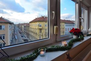 Okolie apartmánu