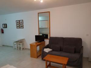 Telewizja i/lub zestaw kina domowego w obiekcie Apartamentos Olympia Garden
