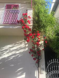 a bunch of red flowers on the side of a house at A Casa di LoLu in Grottammare