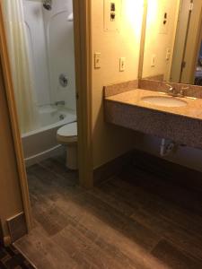 Koupelna v ubytování Jackson Motel