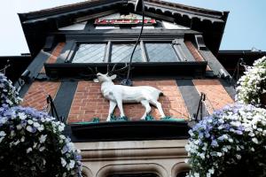 a statue of a goat on the side of a building at The White Hart Hotel in Kingston upon Thames
