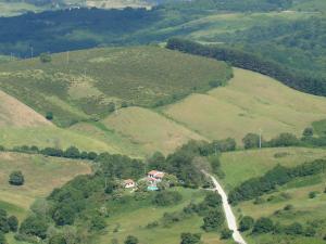 a house on top of a green hill with a road at Agriturismo La Guinza in Arcidosso