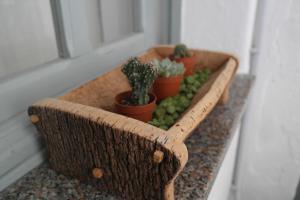 a wooden planter with cactuses and plants on a ledge at My Eco Rooms Olbia in Olbia