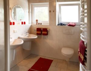 a bathroom with a sink and a toilet and a window at Haus am Stryckpark in Willingen