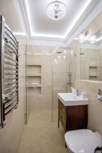 a bathroom with a shower and a sink and a toilet at Hotel Zamek Chałupki in Chałupki