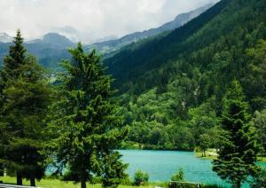 a lake in the middle of a mountain with trees at Casa del Lago in Valtournenche