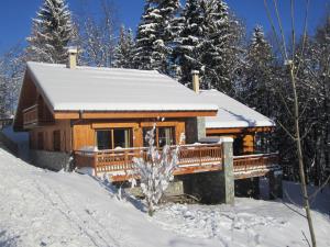 Chalet Les Jumelles v zimě