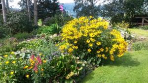 Giardino di Ferienhäuser Stohl