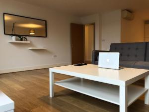 TV a/nebo společenská místnost v ubytování Spacious Clapham Apartments
