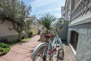 Kerékpározás Ciudad Jardín Marina környékén