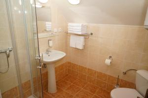 La salle de bains est pourvue d'un lavabo, d'une douche et de toilettes. dans l'établissement Penzion Čistá, à Černý Důl