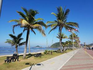 un uomo seduto su una panchina su una spiaggia con palme di Hostel do Enzo a Itanhaém