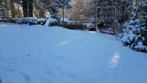 ビュッサンにあるGite de Papy TOUALYの雪庭