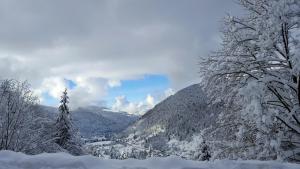 una montaña cubierta de nieve con un árbol en el primer plano en Gite de L'ours, en La Bresse