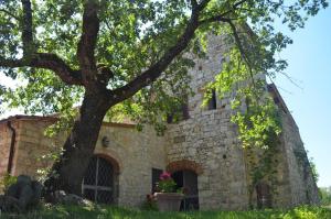 Fotografia z galérie ubytovania Podere Sagna v destinácii Castellina in Chianti
