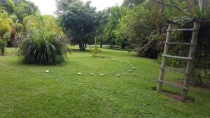 Shankara Rest Camp外面的花园