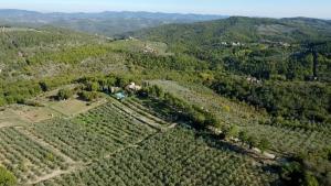 Príroda v okolí apartmánu