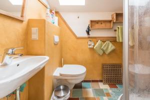 ein Bad mit einem WC, einem Waschbecken und einer Dusche in der Unterkunft Almliesl STGE-483 in Allgaueck