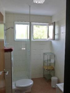 a bathroom with a shower and a toilet and a window at Appartementhaus Drobnik in Bad Füssing