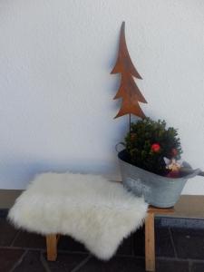 Fotografia z galérie ubytovania Appartement Landhaus Einsiedler v destinácii Sankt Gallenkirch