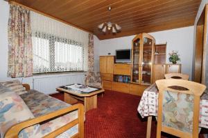 TV a/nebo společenská místnost v ubytování Appartementhaus Drobnik