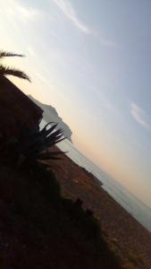 パレルモにあるCasa di mareの海辺の浜辺のヤシの木