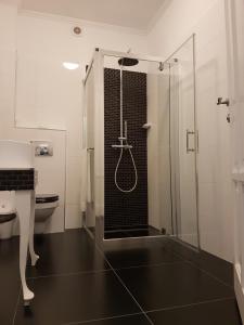 W łazience znajduje się prysznic ze szklanymi drzwiami. w obiekcie Maison Elysée w Sybinie