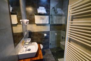 a bathroom with a sink and a toilet and a shower at Casona de Llanorrozo Apartamentos Rurales in Oviñana +34 photos