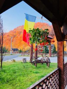 a flag hanging from a gazebo with a plant at Pensiunea Ovidiu&Paula in Ibăneşti