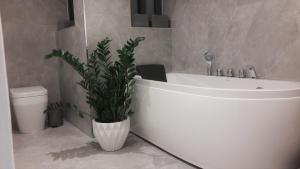 Duplex Maisonette with Heated P-Pool and Jacuzzi的一间浴室