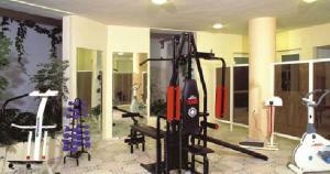 Fitness centrum a/nebo fitness zařízení v ubytování Vantaris Palace