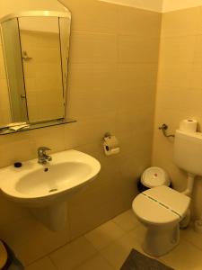 Billede fra billedgalleriet på Pensiunea Ovidiu&Paula i Ibăneşti