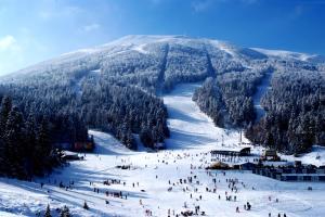 a group of people skiing down a snow covered mountain at Apartman Kadic in Bjelašnica