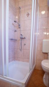 a bathroom with a shower and a toilet at Apartment Josephine 2 in Malinska