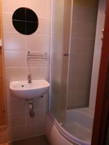 W łazience znajduje się umywalka i prysznic. w obiekcie Penzion Kobr w mieście Pec pod Sněžkou