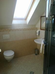 a bathroom with a toilet and a sink at Györgyey Kastély Panzió és Étterem in Tápiógyörgye +22 photos