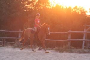 カジミエシュ・ドルニにあるStajnia Wylągiの塀の前に馬に乗る少女