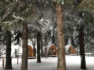 صورة لـ Gran Bosco Camping & Lodge في Salbertrand
