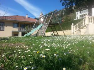 a slide in a field of flowers in front of a house at La Pumarada De Limes 2 in Cangas del Narcea
