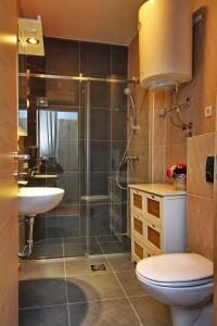 e bagno con doccia, servizi igienici e lavandino. di Ambasador Zlatibor a Zlatibor