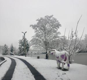 Fotografie z fotogalerie ubytování Rancho 555 v Užhorodu