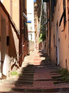 The surrounding neighborhood or a neighborhood close to a panziókat