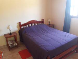 Un pat sau paturi într-o cameră la Cabaña Los Molles