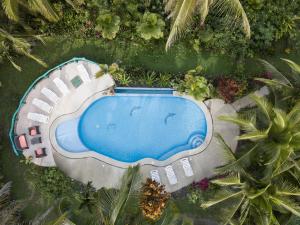 
a blue and white surfboard sitting on top of a lawn at Hotel La Diosa in Cahuita
