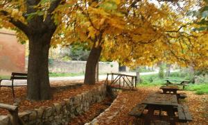 two picnic tables and two trees in a park at Los Lilos in Pozancos