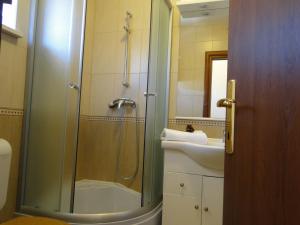 a bathroom with a shower and a sink at Villa Agava in Vrboska