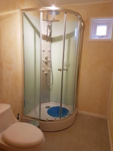 e bagno con doccia e servizi igienici. di Cabanas los picaflores a La Ensenada
