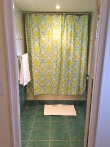 a shower in a bathroom with a shower curtain at Wacamaya in Palm-Eagle Beach