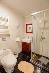 a bathroom with a toilet and a shower and a sink at Apartamentos Entre Fronteras in Punta Arenas